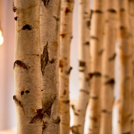 Yha Boggle Hole * Fylingthorpe