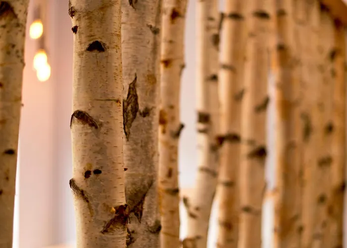 Yha Boggle Hole * Fylingthorpe